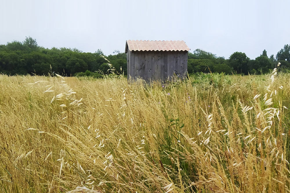 Melifera-site-de-depart